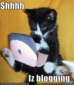 Shhhh. Iz blogging.