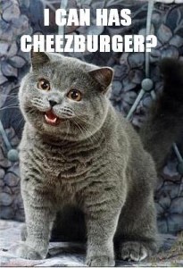 i_can_has_cheezburger_1_