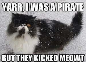 Yarr, I was a pirate, but they kicked meowt. Call it a Mewtiny.