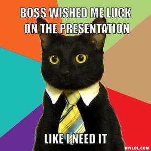 business-cat-luck