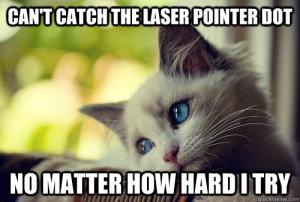 laser-cat